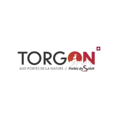 Torgon logo