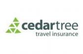 Cedar Tree logo
